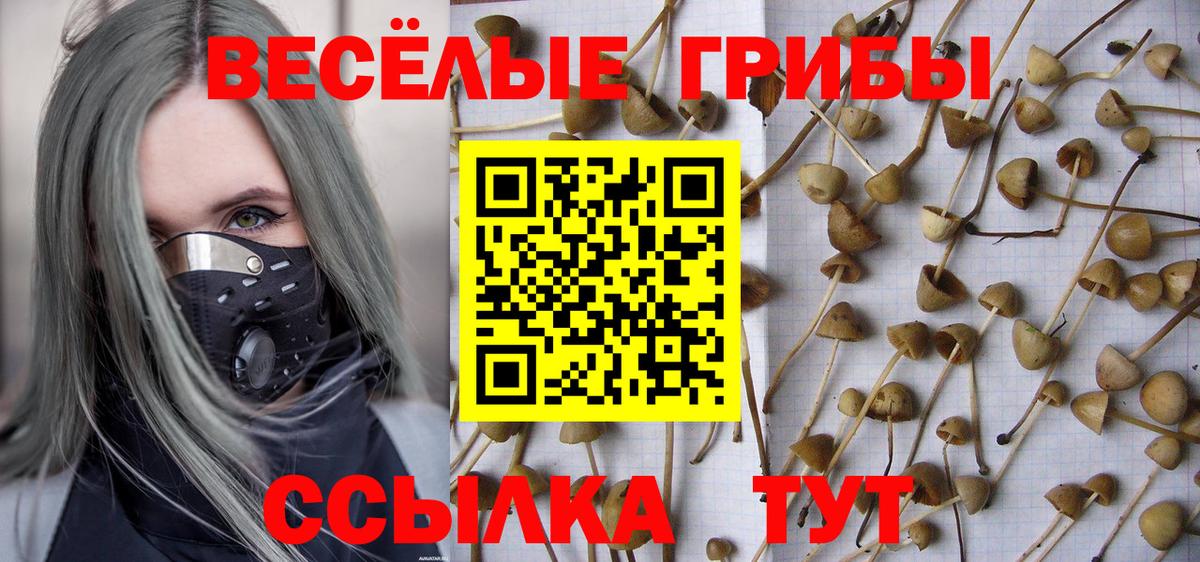 Псилоцибиновые грибы MAGIC MUSHROOMS Новозыбков