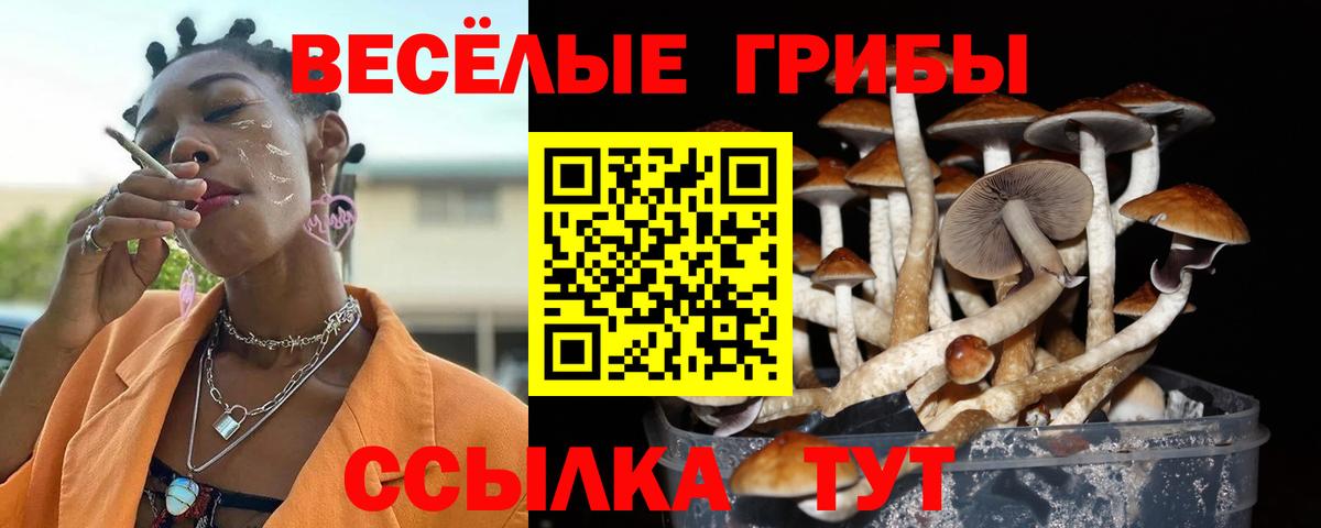 Конопля Новозыбков